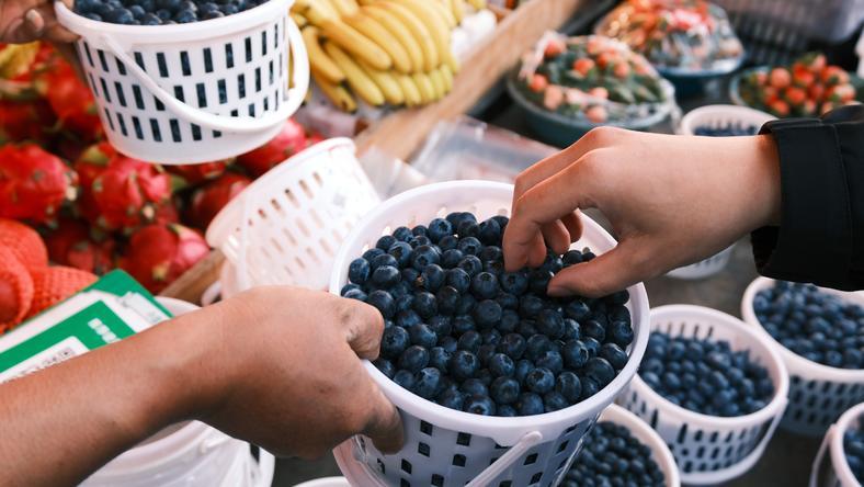 疯狂的云南蓝莓: 暴利诱惑、巨头扩张、产地洗牌